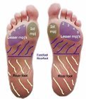 foot_anatomy_plantar_surface