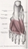 Picture of Muscles of the Foot - Plantar View (3rd layer)