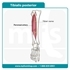 Picture of Tibialis posterior